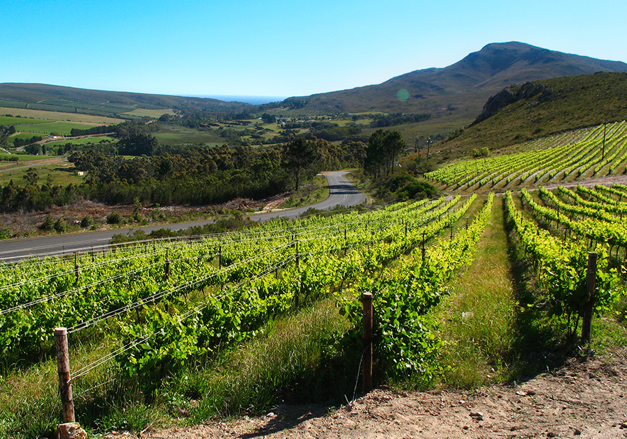 Hemel-en-Aarde Valley
