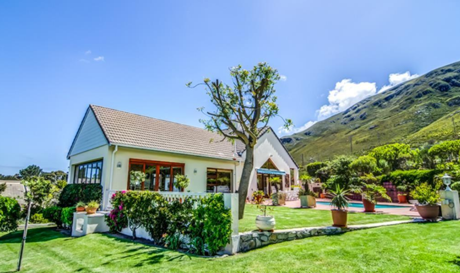 Vacation or Staycation: Investing in Hermanus Properties