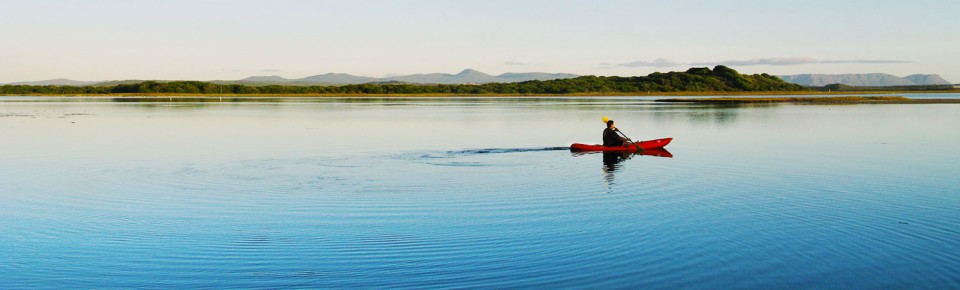 Hermanus ActivitiesExplore Hermanus in unique ways...