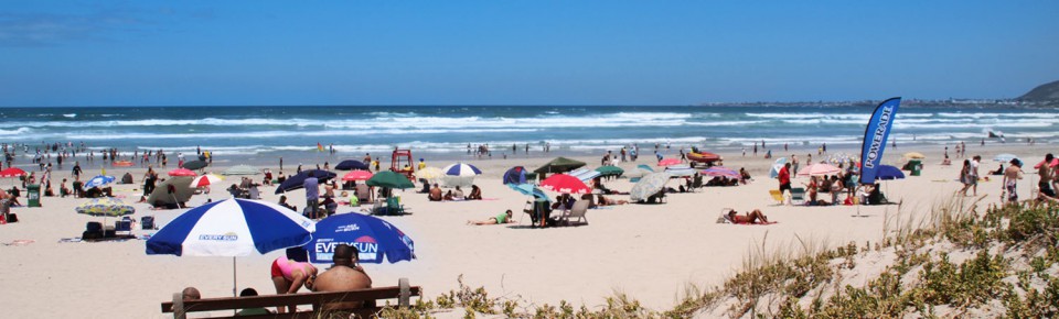 Hermanus BeachesSoak up the sun on our sandy shores...