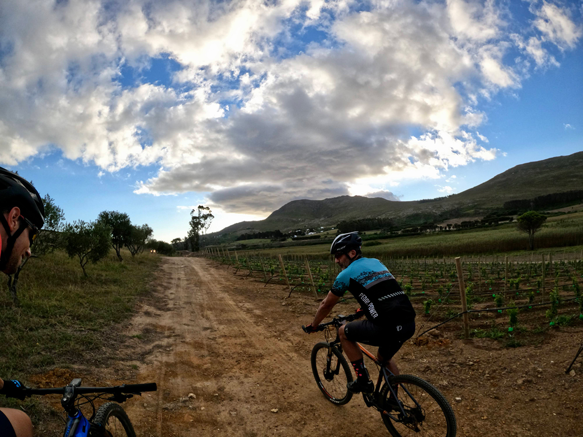 Mountain Bike trails in Hermanus