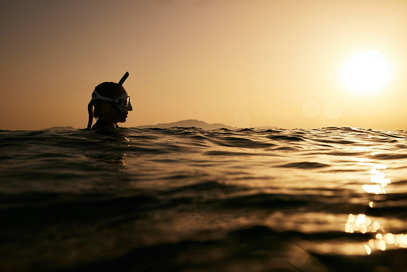 Shark Cage Diving