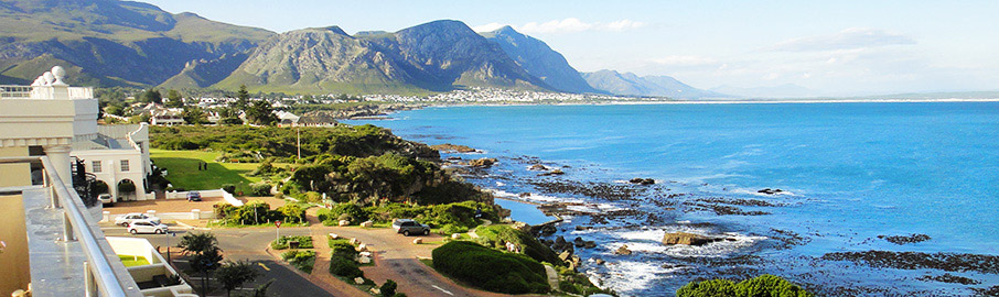 Marine Tidal Pool