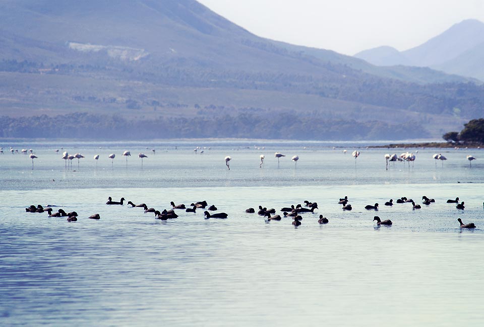 Voelklip Prawn Flats Lagoon