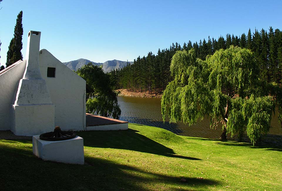 Hemel-en-Aarde Valley's Vineyards