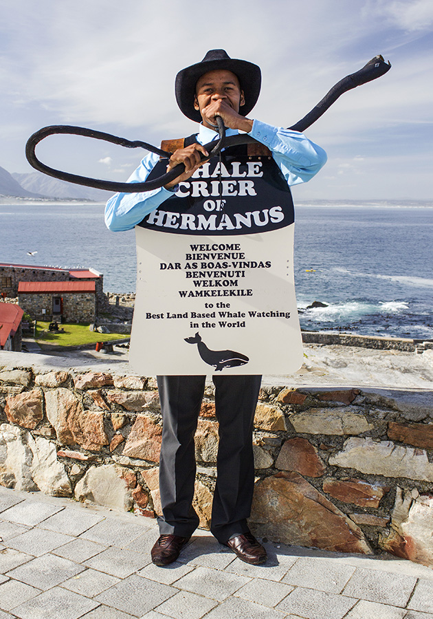 Whale Crier in Hermanus