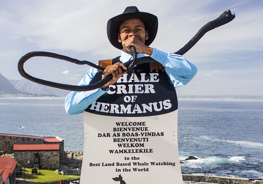 Whale Crier of Hermanus