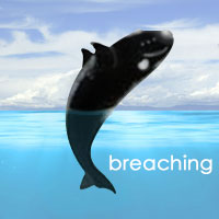 Whale Breaching