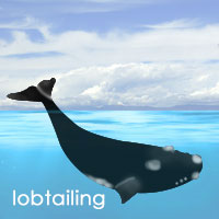 Whale Lobtailing