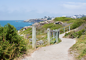 Cliff Path Hermanus