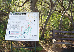 Fernkloof Nature Reserve