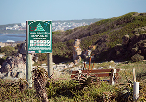 Cliff Path Connecting the Beaches