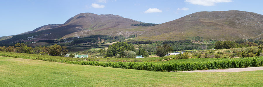 Bouchard Finlayson View