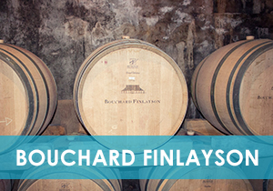 Bouchard Finlayson Article