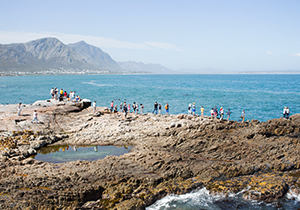 Crowds Whale Watching