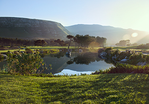 Hermanus Golf Course Landscape