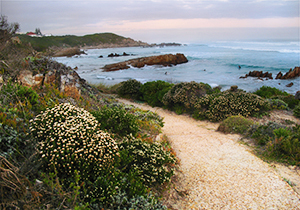 Cliff Path View