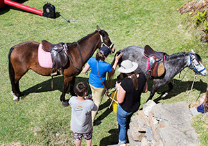 Horse Riding