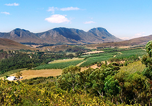 Hemel en Aarde Valley