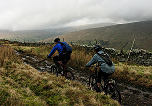 Mountain Biking in Farmlands