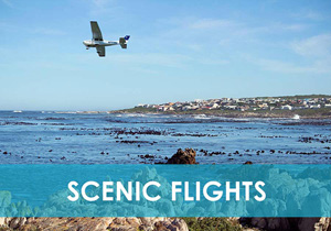 Scenic Flights over Hermanus