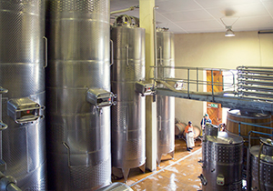 Sumaridge Cellar