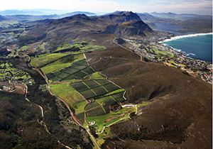 View of Hermanus