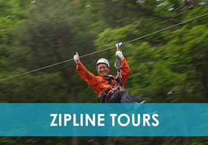 Zipline Tours in the Valley