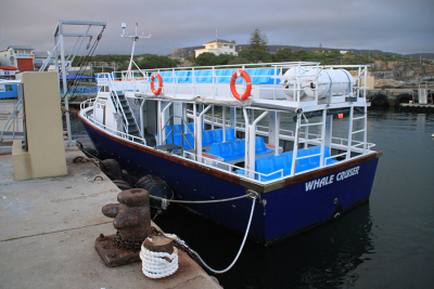 Hermanus Whale Cruises